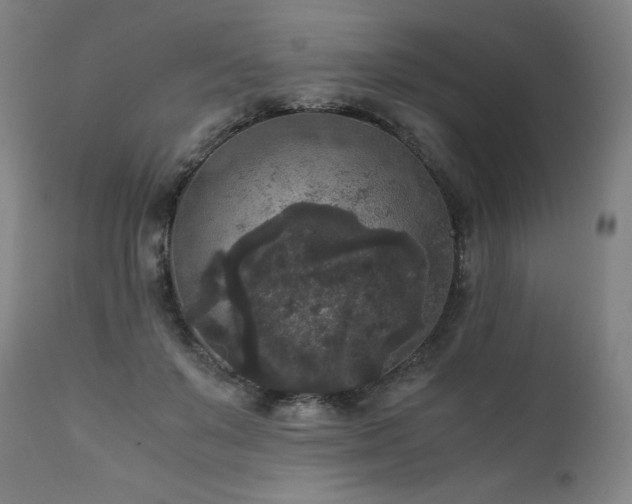X0000111810503200907231237