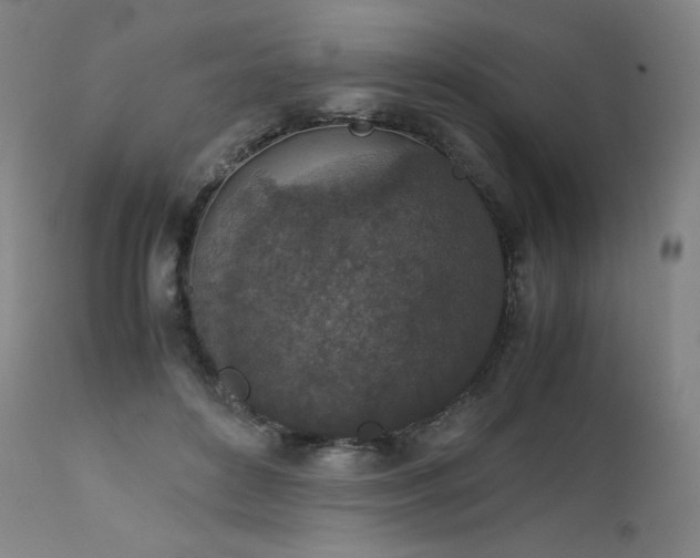 X0000111810504200907231237