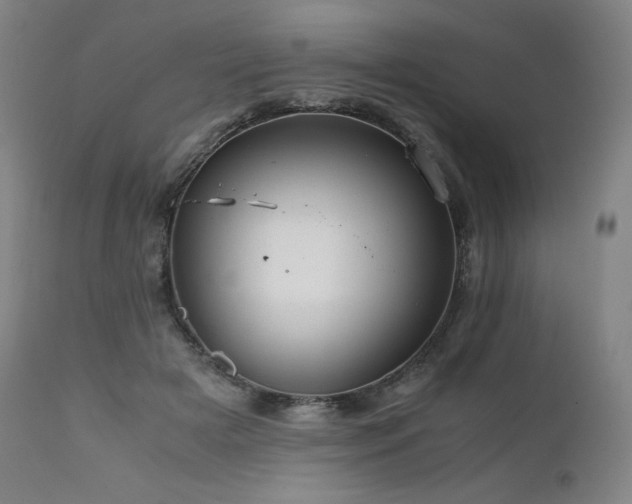 X0000111810505200907231237