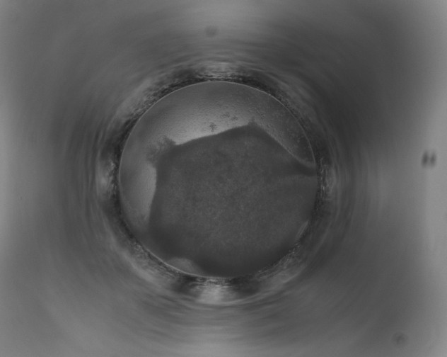 X0000111810507200907231237