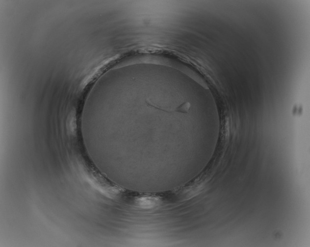 X0000111810508200907231237