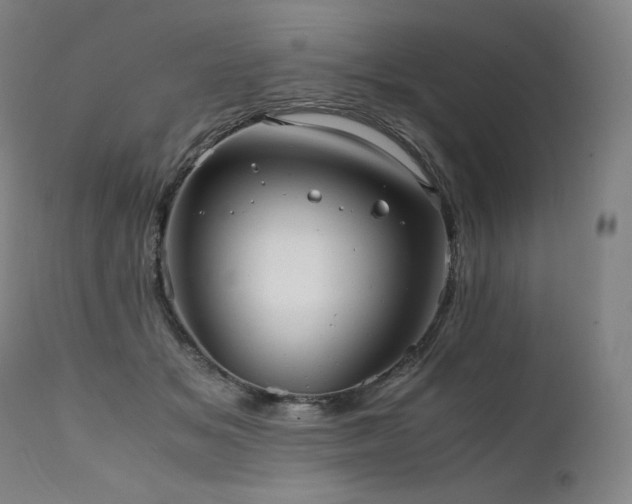 X0000111810509200907231237