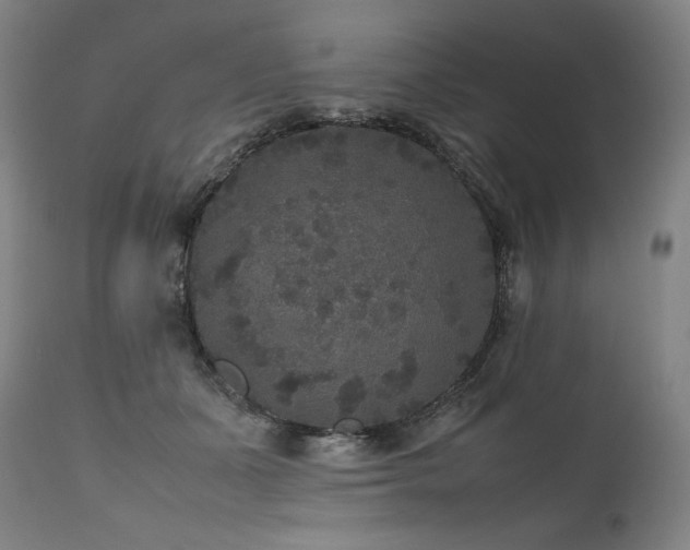 X0000111810511200907231237
