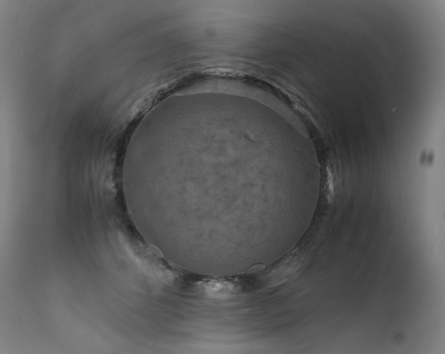X0000111810512200907231237