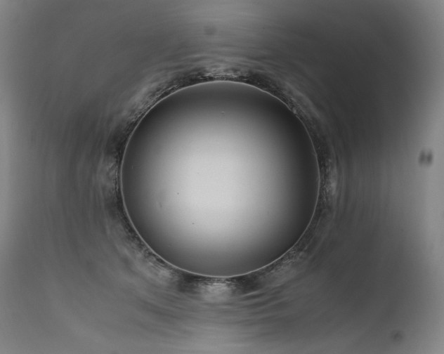 X0000111810513200907231237