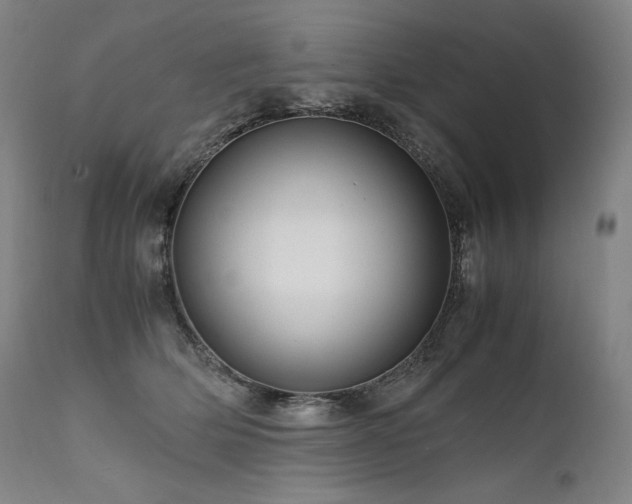 X0000111810514200907231237