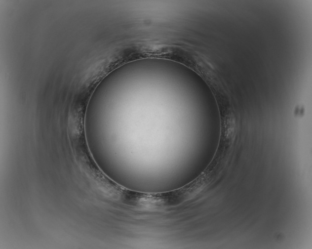 X0000111810515200907231237