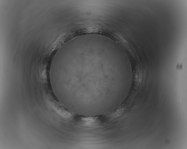 X0000111810516200907231237