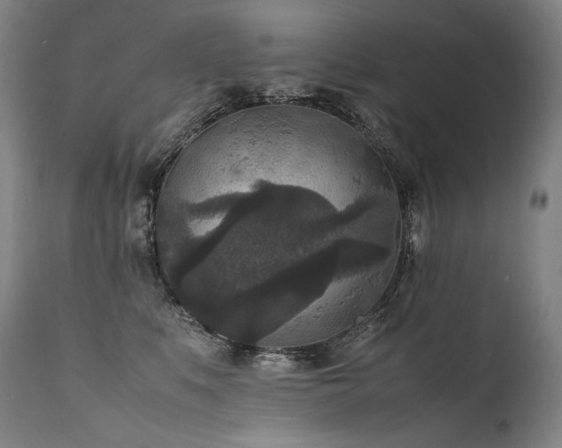 X0000111810519200907231237