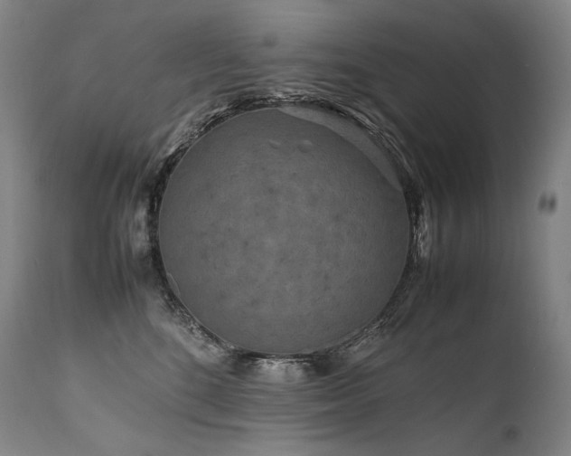 X0000111810520200907231237