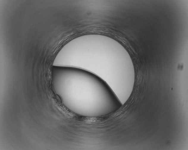 X0000111810521200907231237