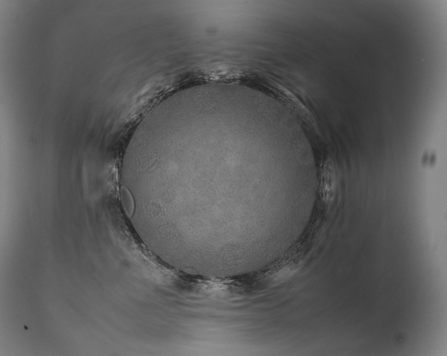 X0000111810523200907231237