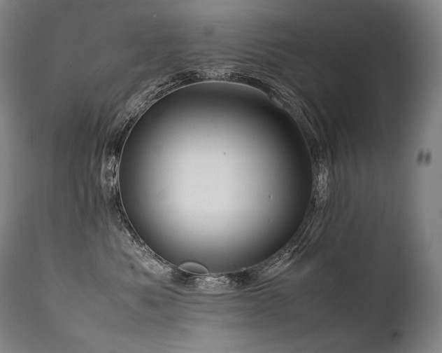 X0000111810525200907231237