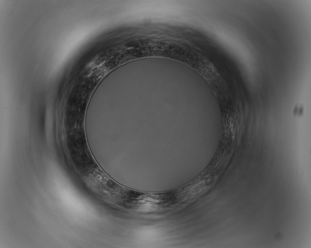 X0000111810526200907231237