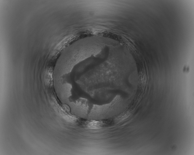 X0000111810527200907231237