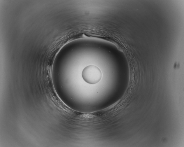 X0000111810528200907231237
