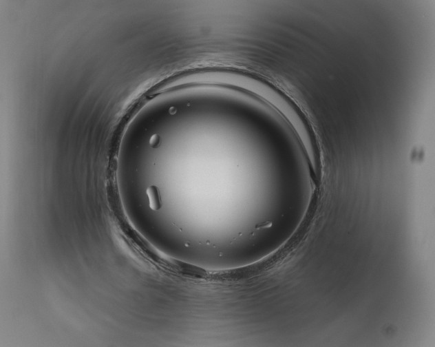 X0000111810530200907231236