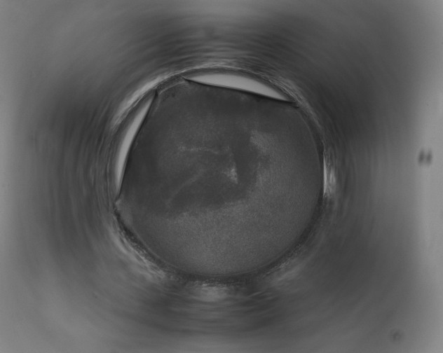 X0000111810531200907231236