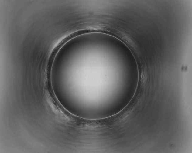 X0000111810532200907231236