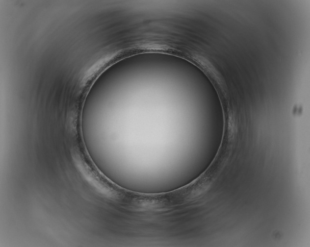 X0000111810533200907231236