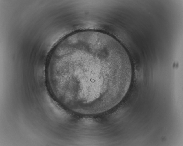 X0000111810534200907231236