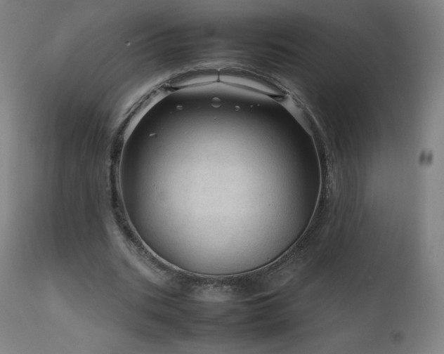 X0000111810535200907231236