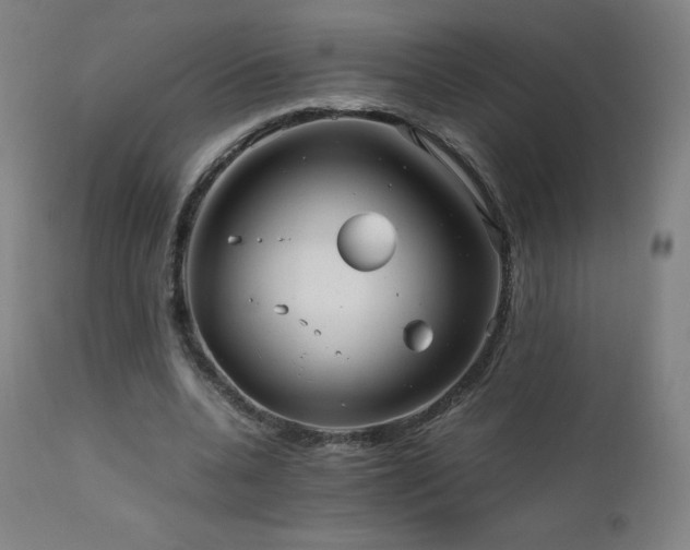 X0000111810536200907231236