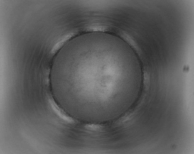 X0000111810537200907231236
