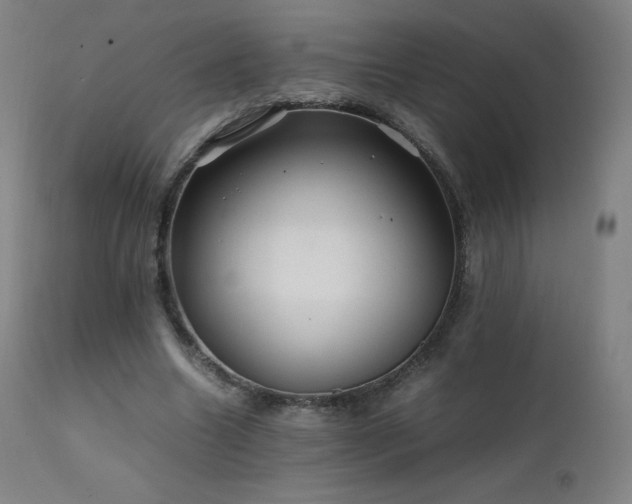 X0000111810538200907231236