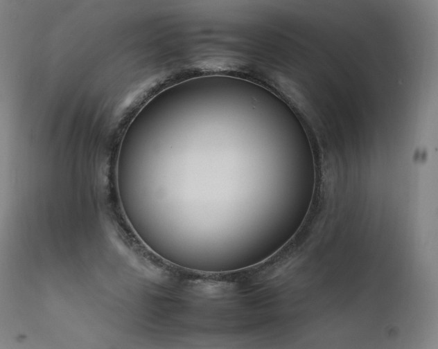 X0000111810539200907231236