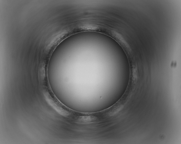 X0000111810541200907231236