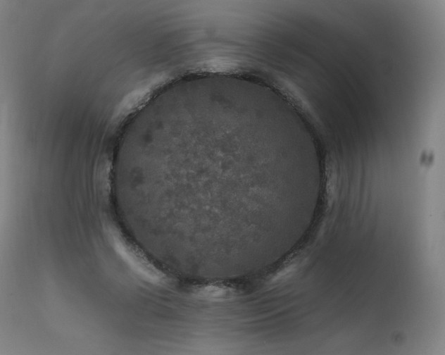 X0000111810542200907231236