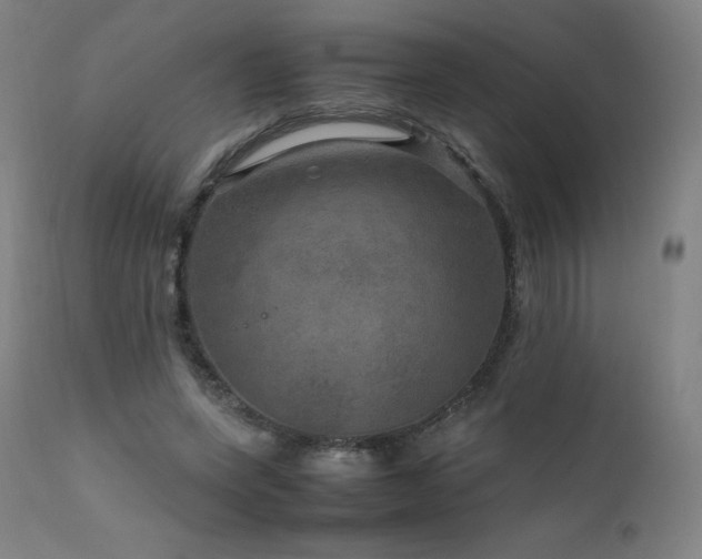 X0000111810543200907231236