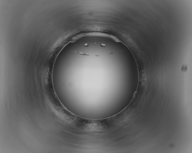 X0000111810544200907231236