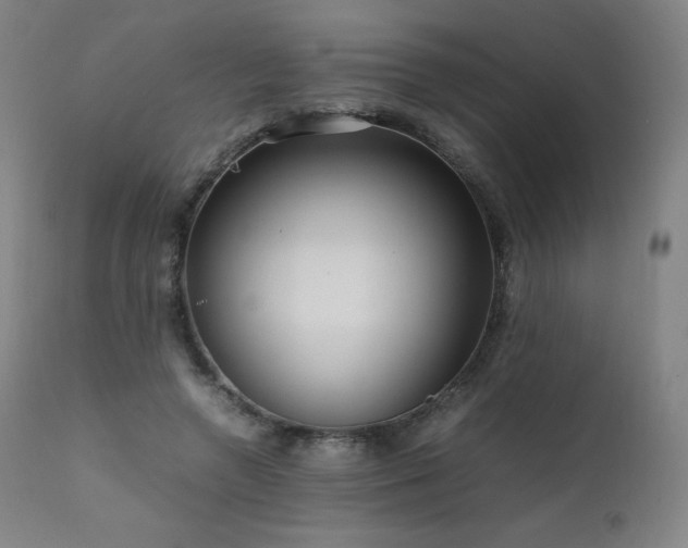 X0000111810546200907231236