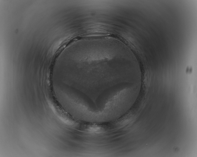 X0000111810547200907231236