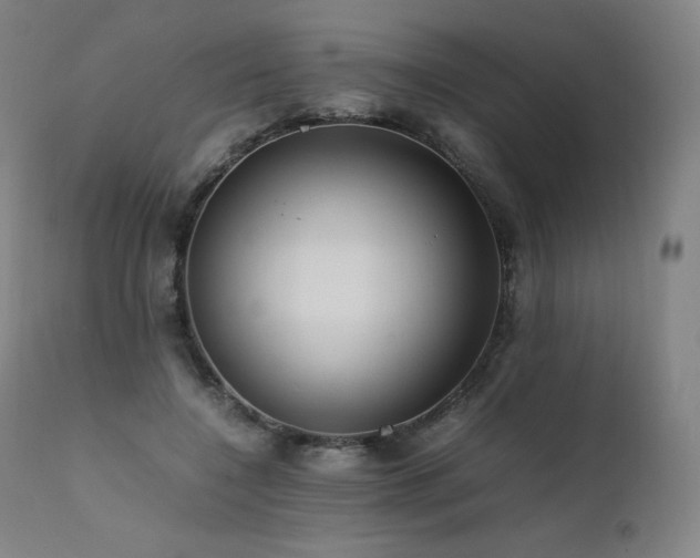 X0000111810548200907231236