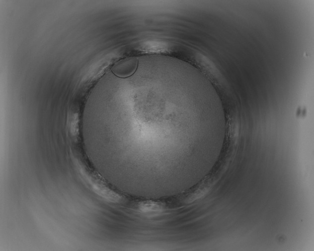 X0000111810549200907231236