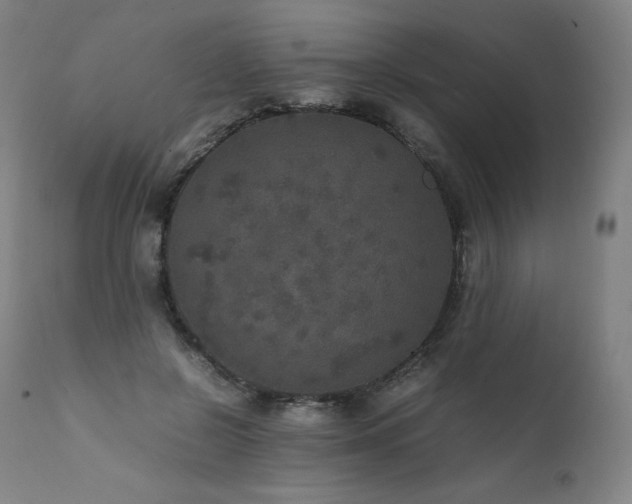 X0000111810550200907231236