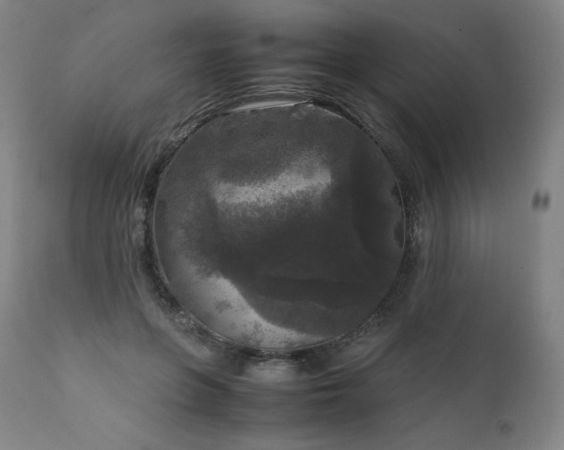 X0000111810551200907231236