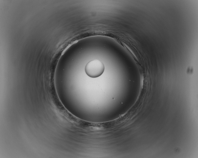 X0000111810552200907231236