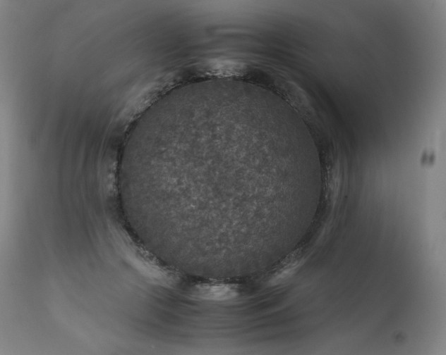 X0000111810553200907231236