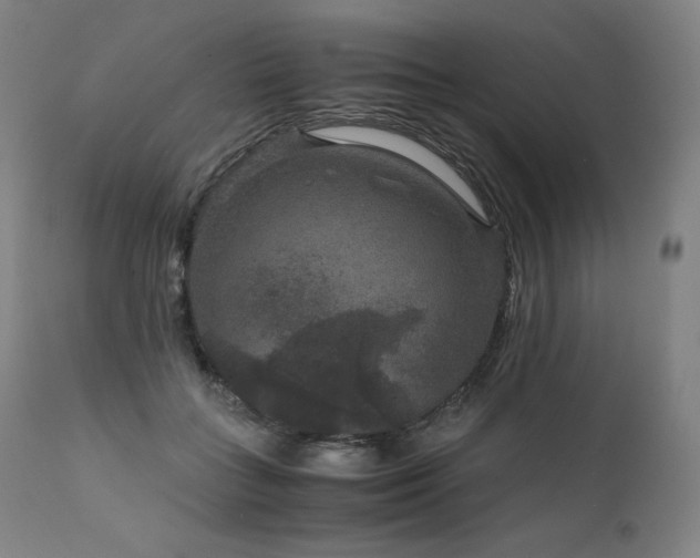 X0000111810555200907231236