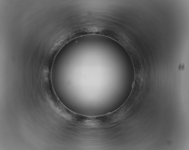 X0000111810556200907231236