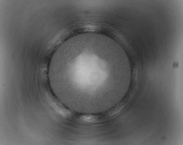 X0000111810557200907231236