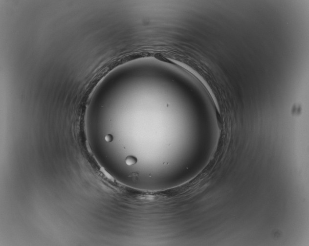 X0000111810558200907231236