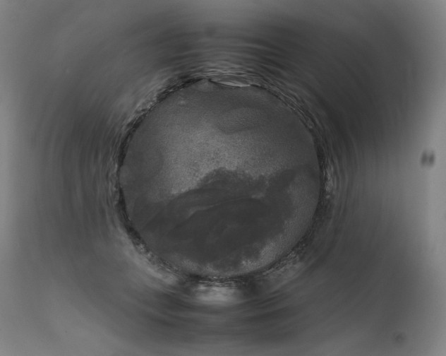 X0000111810559200907231236