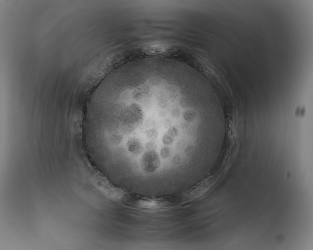 X0000111810561200907231237