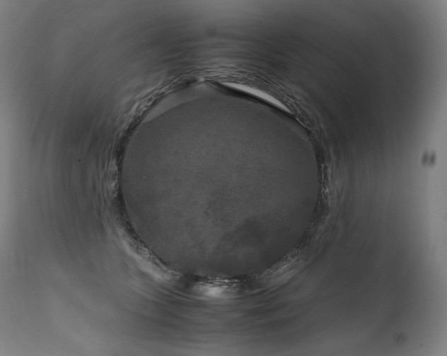 X0000111810563200907231237