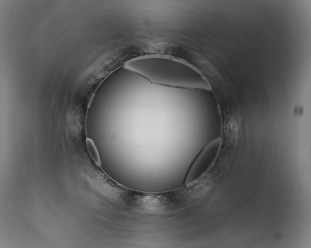 X0000111810566200907231237